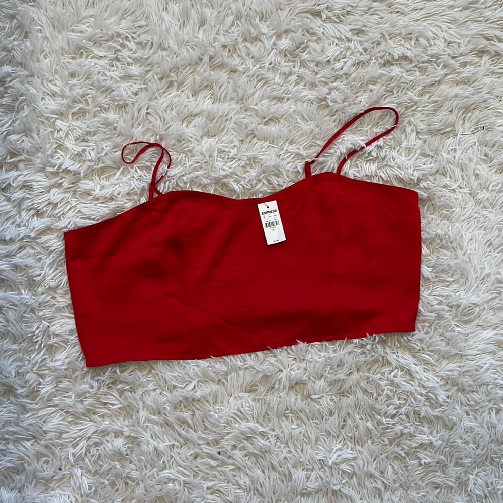 Express Satin Cropped Cami